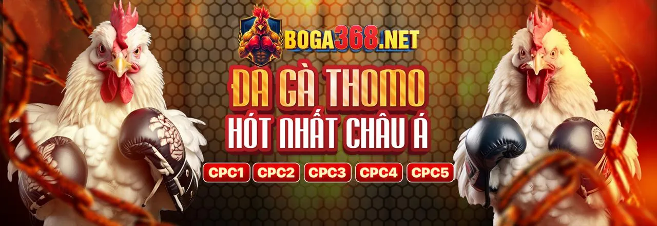 Hình ảnh chính về chiến lược casino trực tuyến tại sv888 nhà cái